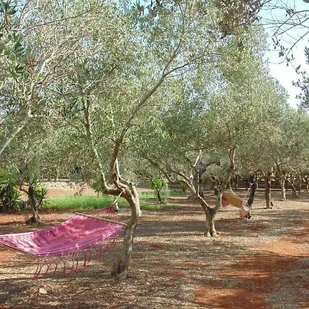 Masseria Nova Isola Bed & Breakfast *