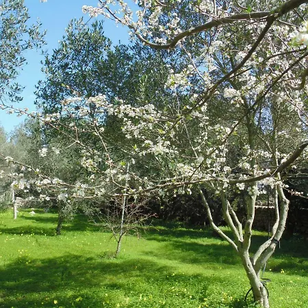 Bed & Breakfast Masseria Nova Isola Alessano