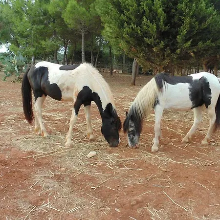 Masseria Nova Isola