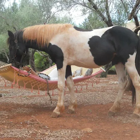 Masseria Nova Isola Bed & Breakfast Alessano