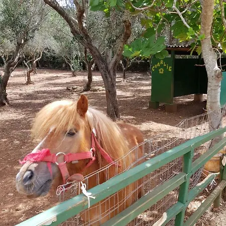 Bed & Breakfast Masseria Nova Isola