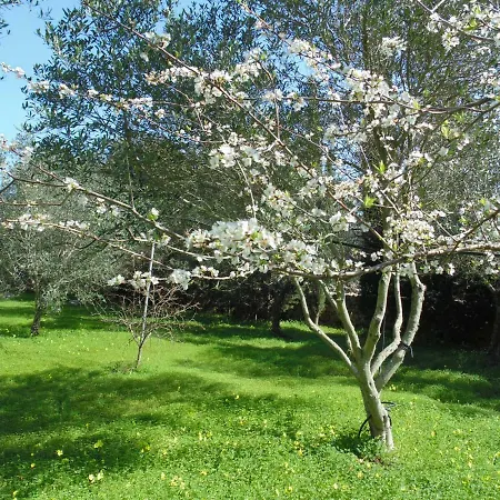 Masseria Nova Isola Alojamento de Acomodação e Pequeno-almoço Alessano