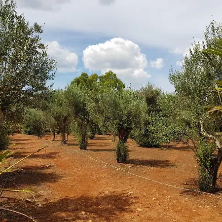 Masseria Nova Isola Bed & Breakfast